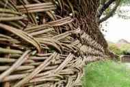Vrba ograda - najstariji ograda sa magičnim svojstvima